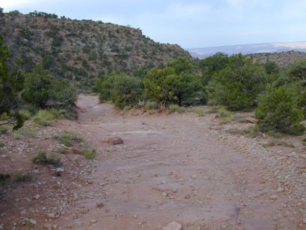A rocky dirt path winding through a hilly, desert landscape, surrounded by sparse vegetation and distant cliffs under a cloudy sky. Porcupine Rim mountain bike trail.