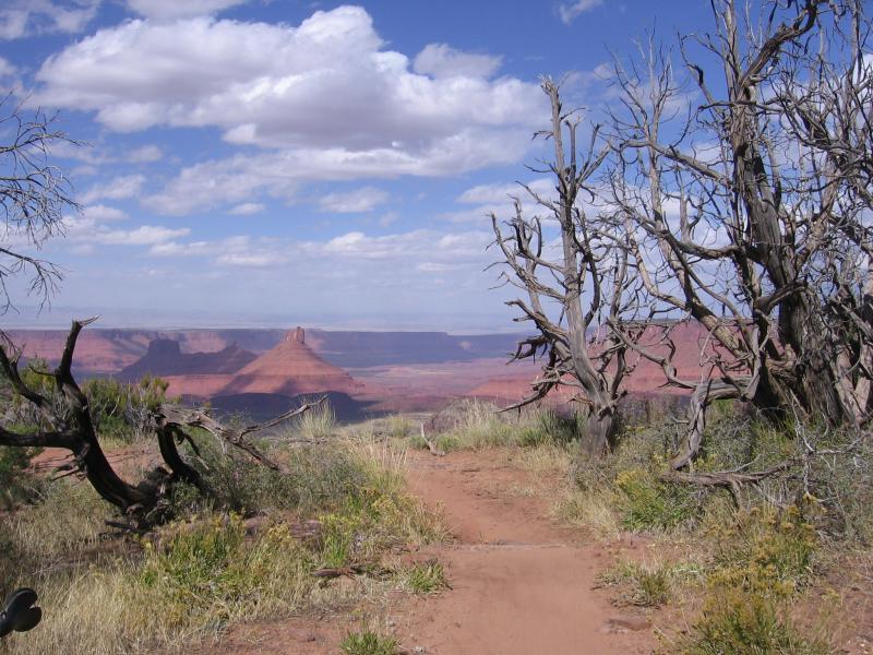 Alt text: A scenic view of a desert landscape featuring red rock formations in the distance, framed by dry trees and shrubs. The sky is partly cloudy, adding depth to the expansive vista. A sandy trail leads through the foreground. Porcupine Rim mountain bike trail.