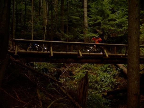 A mountain biker in an orange jacket is standing on a wooden bridge surrounded by tall trees and dense greenery, while another bicycle is positioned on the bridge. The scene captures a serene forest environment, highlighting the natural beauty of the area. Tiger Mountain mountain bike trail.