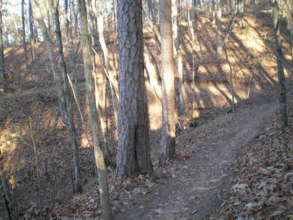A narrow dirt path winding through a wooded area with tall trees and fallen leaves, casting shadows on the ground. The terrain slopes upward on one side, showcasing a mix of sunlight and shade. Blankets Creek mountain bike trail.