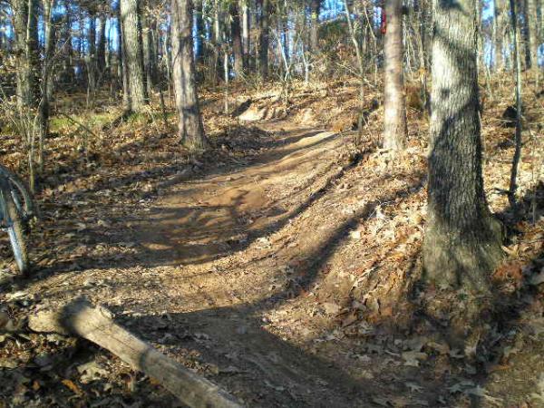 A winding dirt trail through a forest, surrounded by trees and scattered autumn leaves. Sunlight filters through the branches, illuminating the path that slopes gently upward. Blankets Creek mountain bike trail.