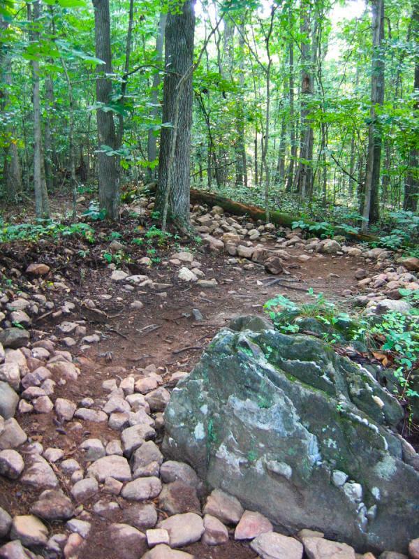 A winding trail through a lush green forest, bordered by large rocks and stones, with tall trees and vibrant foliage surrounding the path. Blankets Creek mountain bike trail.