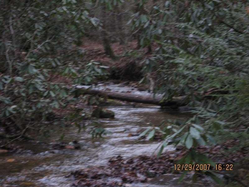 A serene stream flowing through a wooded area, surrounded by greenery and fallen leaves. A fallen log spans across the water, adding to the natural landscape. The image has a soft focus, creating a calm and tranquil atmosphere. Bull / Jake Mountain mountain bike trail.