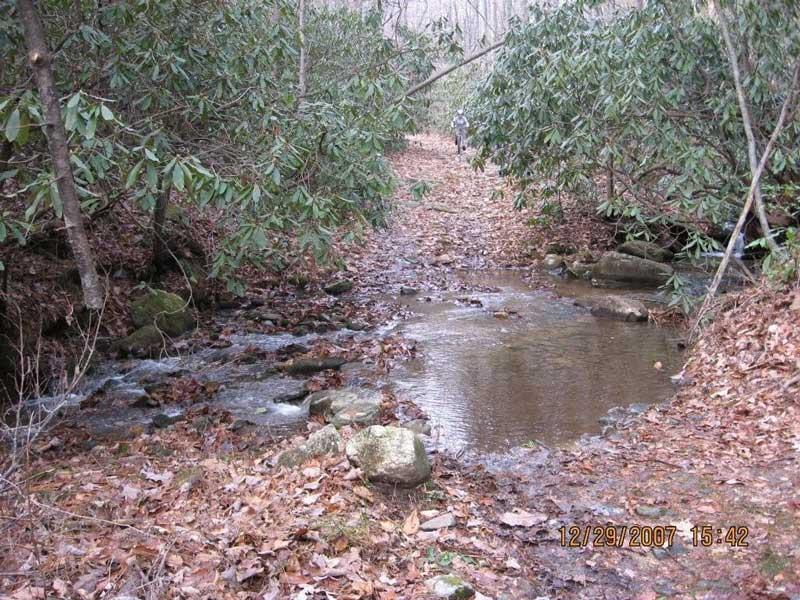 A serene natural scene featuring a small stream winding through a wooded area. The ground is covered in fallen leaves, and dense green rhododendron foliage lines the banks. A rocky area is visible on the left side, and a person can be seen in the background, partially obscured by the trees. The image was taken on December 29, 2007. Bull / Jake Mountain mountain bike trail.