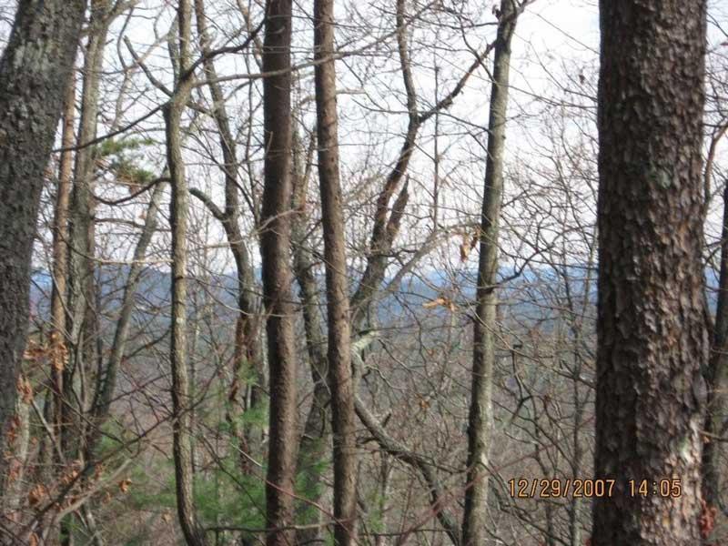 A view of a forest during winter, showcasing bare trees with a hazy landscape in the background. The scene captures a tranquil atmosphere, with a mix of tree trunks in the foreground and distant hills visible beyond. Bull / Jake Mountain mountain bike trail.