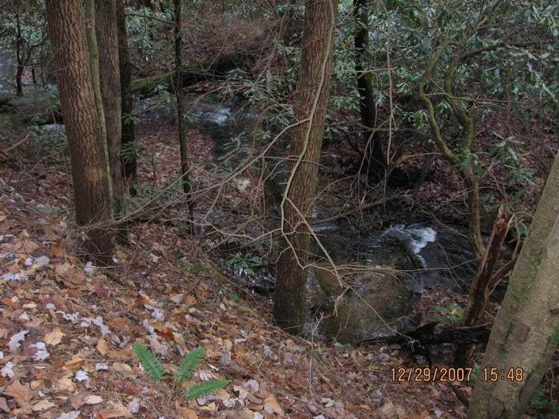 A serene woodland scene featuring tall trees on either side of a gently flowing stream. The ground is covered with fallen leaves, and various plants, including ferns, are visible among the underbrush. The tranquil water can be seen winding through the forest, creating a calm and peaceful atmosphere. Bull / Jake Mountain mountain bike trail.