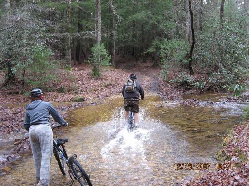 Two mountain bikers navigating through a shallow stream on a forest trail, surrounded by tall trees and fallen leaves. One rider is pedaling through the water, causing splashes, while the other is walking beside a bike. Bull / Jake Mountain mountain bike trail.