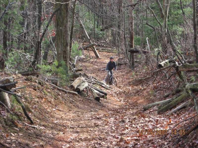 A person riding a mountain bike on a winding dirt trail surrounded by trees, fallen branches, and autumn leaves in a forested area. Bull / Jake Mountain mountain bike trail.