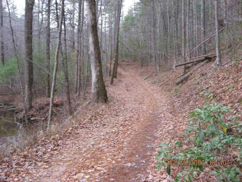 A dirt trail winding through a wooded area with tree trunks and fallen leaves, surrounded by greenery. The path is narrow and leads into the distance, with a gentle incline on one side. Bull / Jake Mountain mountain bike trail.