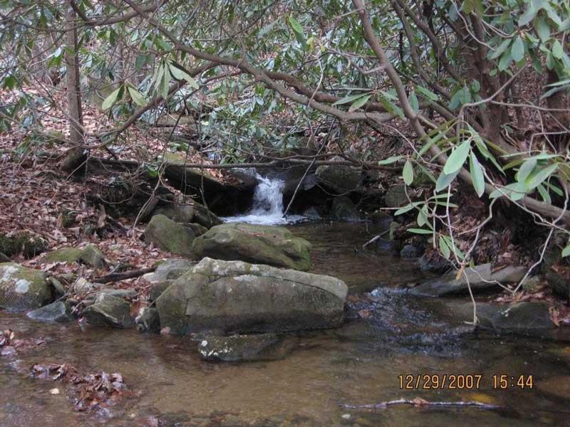 A serene creek flowing through a forest, surrounded by rocks and leafy branches. Small waterfalls can be seen as the water gently cascades over stones, with fallen leaves scattered along the ground. The scene captures the tranquility of nature. Bull / Jake Mountain mountain bike trail.
