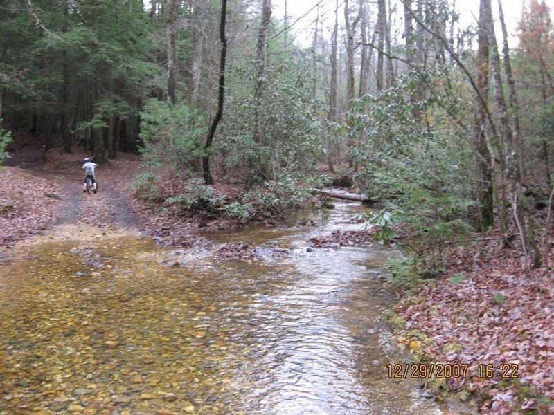 A person riding a bicycle on a dirt trail alongside a shallow stream in a densely wooded area, with green trees and brown leaves covering the ground. The scene is peaceful and natural, evoking a sense of outdoor adventure. Bull / Jake Mountain mountain bike trail.