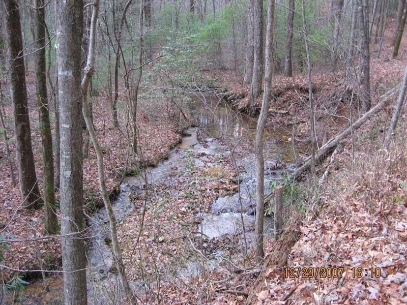 A serene forest scene featuring a narrow creek winding through a wooded area. The ground is covered in fallen leaves, and tall trees surround the creek, creating a tranquil natural environment. The creek has some visible rocks and shallow water, with hints of greenery from bushes and small plants along the banks. Bull / Jake Mountain mountain bike trail.