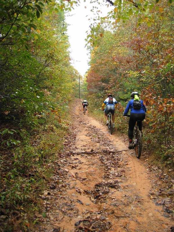 Three mountain bikers riding along a dirt trail surrounded by trees in autumn, with colorful leaves on the ground and trees. The path is sandy and slightly muddy, leading into a wooded area. Bent Creek mountain bike trail.