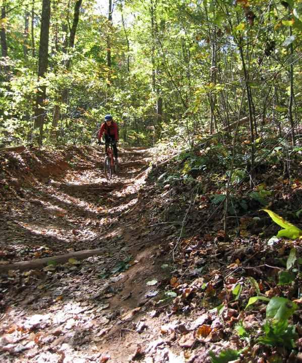 A mountain biker riding along a dirt trail in a forest during autumn, surrounded by trees with green foliage and fallen leaves on the ground, under bright sunlight. Bent Creek mountain bike trail.