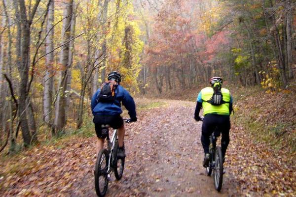 Two mountain bikers riding along a dirt path surrounded by trees displaying autumn foliage. The trail is lined with fallen leaves, and the atmosphere is misty, suggesting a cool, crisp day. One rider is dressed in a blue jacket and dark shorts, while the other is wearing a bright yellow top and black leggings. Bent Creek mountain bike trail.