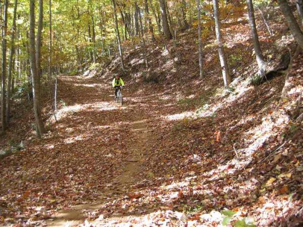 A mountain biker rides along a dirt trail covered with colorful autumn leaves, surrounded by trees with changing foliage. The path winds through a forest, showcasing vibrant fall colors and a clear blue sky above. Bent Creek mountain bike trail.