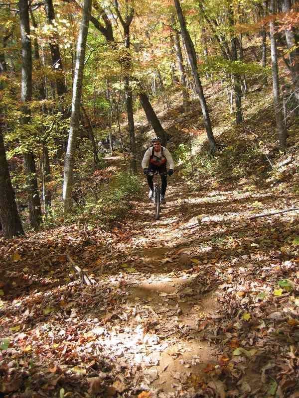 A mountain biker riding along a dirt trail surrounded by colorful autumn foliage, with fallen leaves covering the ground in a forested area. Bent Creek mountain bike trail.