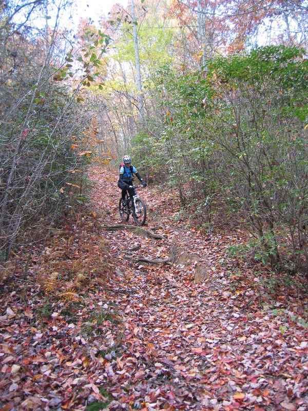 A mountain biker pauses on a narrow, leaf-strewn trail surrounded by dense foliage in a wooded area during the fall. Bright autumn leaves cover the ground, and the trees in the background show varying shades of green and yellow. Bent Creek mountain bike trail.