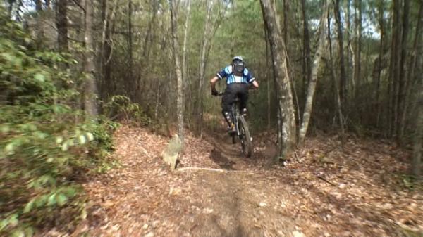 A mountain biker in a blue and black jersey is captured mid-jump on a dirt trail surrounded by trees. The forest is lush with greenery and fallen leaves, creating a natural setting for outdoor cycling. DuPont State Forest mountain bike trail.