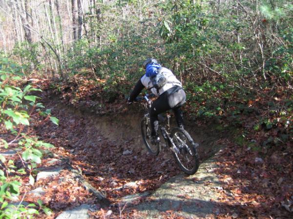 A mountain biker navigating a rocky trail surrounded by trees and autumn leaves, in mid-jump over a small drop-off. DuPont State Recreational Forest mountain bike trail.