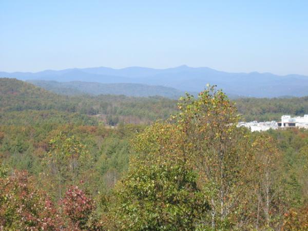 A scenic view of rolling mountains in the distance, framed by lush green trees and a few hints of autumn colors. The sky is clear and blue, creating a bright backdrop for the natural landscape. In the foreground, a patch of colorful foliage adds depth to the scene. DuPont State Forest mountain bike trail.
