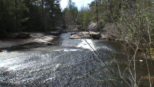 A serene river flows through a wooded area, featuring smooth rocks along its banks. The water glistens in the sunlight as it moves swiftly over the stones, surrounded by tall trees and greenery. DuPont State Forest mountain bike trail.