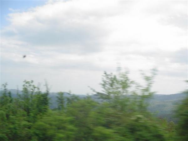 A blurred landscape featuring green vegetation in the foreground, rolling hills in the background, and a cloudy sky above. The image conveys a sense of movement, likely taken from a vehicle in motion. DuPont State Recreational Forest mountain bike trail.