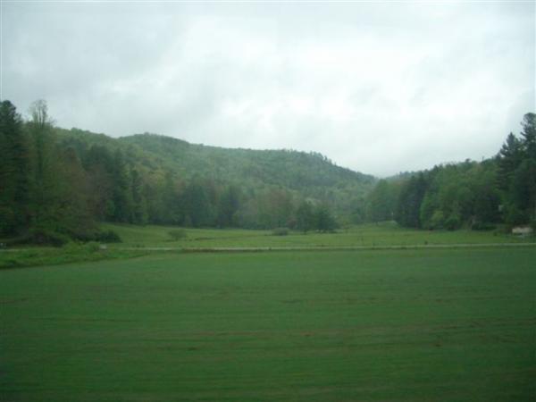 A scenic view of a green meadow surrounded by rolling hills and dense trees under a cloudy sky. The landscape conveys a tranquil atmosphere, showcasing the natural beauty of the area. DuPont State Forest mountain bike trail.