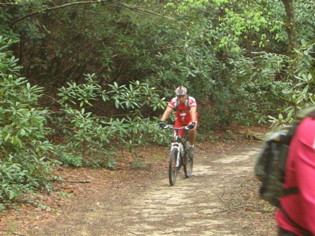 A cyclist in a red and white jersey rides a mountain bike along a dirt trail surrounded by lush green foliage. The scene captures the essence of outdoor adventure and the natural beauty of a wooded area. DuPont State Recreational Forest mountain bike trail.