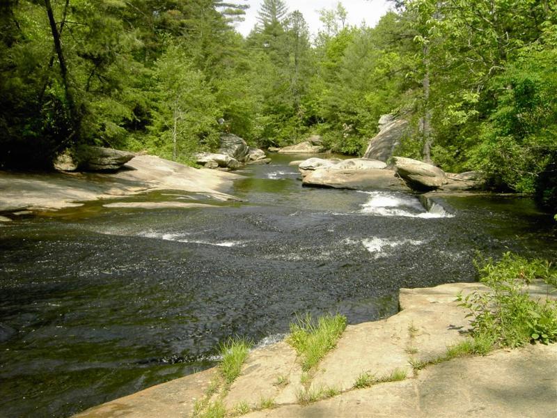 A serene river flows through a lush green landscape, with smooth rocks on the banks and scattered boulders in the water. Sunlight filters through the trees, highlighting the gentle ripples and darkened reflections on the surface of the water. DuPont State Recreational Forest mountain bike trail.