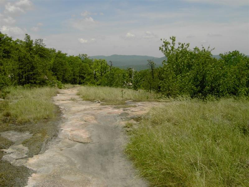 A rocky pathway leading through lush greenery with trees on either side, set against a backdrop of distant mountains and a cloudy sky. The scene captures a tranquil, natural landscape. DuPont State Forest mountain bike trail.