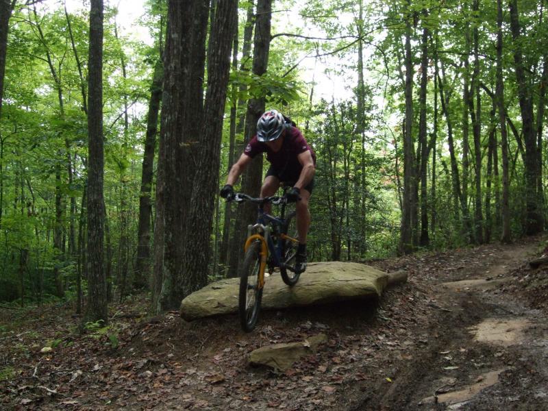A mountain biker in a maroon jersey and helmet rides over a large rock on a wooded trail, surrounded by lush green trees and foliage. The biker is in an action pose, showcasing a moment of skillful maneuvering on the rugged terrain. DuPont State Forest mountain bike trail.