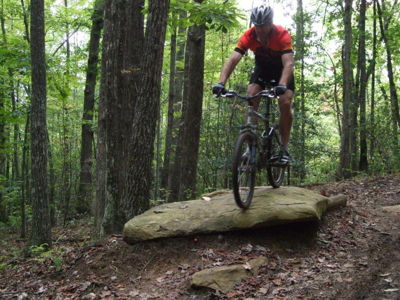 A mountain biker in an orange and black jersey rides over a large rock while navigating a wooded trail surrounded by tall trees and greenery. DuPont State Forest mountain bike trail.