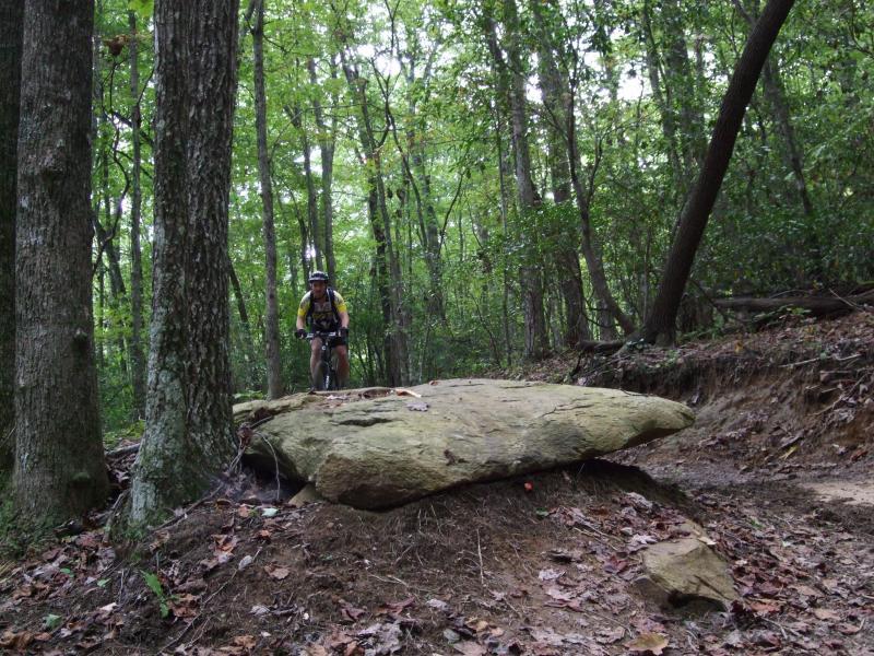A mountain biker navigates a rocky trail in a dense forest, surrounded by tall trees and greenery. The biker is seen approaching a large, flat boulder on the path. DuPont State Recreational Forest mountain bike trail.