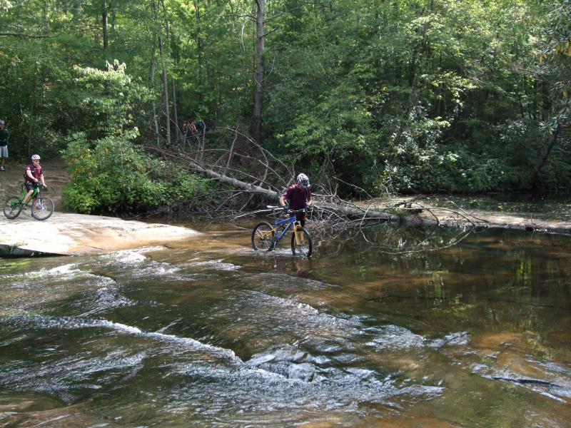 A person on a bicycle navigating through shallow water in a forested area, with another cyclist in the background. The surroundings feature dense greenery and a fallen tree nearby, indicating a natural trail setting. DuPont State Recreational Forest mountain bike trail.