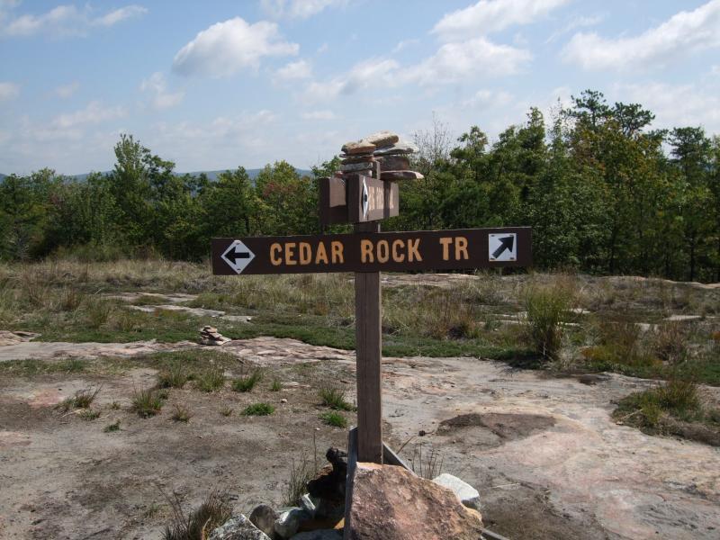 A wooden signpost marked "CEDAR ROCK TR" with directional arrows pointing left and right, surrounded by rocky terrain and greenery under a partly cloudy sky. DuPont State Recreational Forest mountain bike trail.