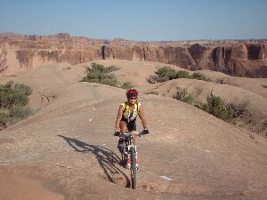 A person riding a mountain bike on a rocky terrain, surrounded by a canyon landscape with plants and distant rock formations under a clear blue sky. Slickrock mountain bike trail.