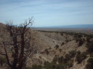 A barren landscape featuring a dry, rocky terrain with sparse vegetation, including a dead tree in the foreground. The view extends over rolling hills and distant mountains under a light blue sky with scattered clouds. Chutes and Ladders mountain bike trail.