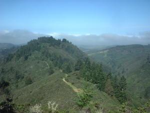 A panoramic view of lush green hills and valleys under a clear blue sky, with some clouds partially obscuring the horizon. The landscape is dotted with trees and a visible dirt path winding through the hills. Purisma Creek mountain bike trail.