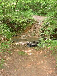 A serene forest path with a small stream flowing over rocks, surrounded by lush green foliage and trees. The earthy trail leads through the natural landscape, inviting exploration. Lynches Woods mountain bike trail.