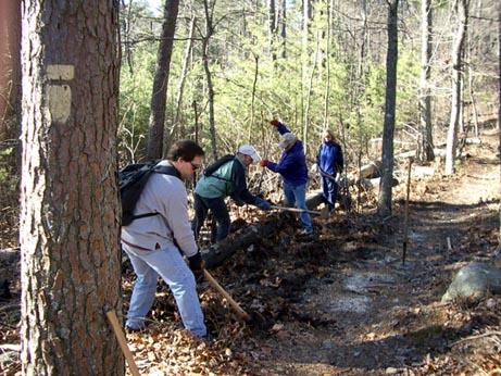 A group of four people working together on a trail in a wooded area, using tools to clear debris and maintain the path. The scene features tall trees and greenery in the background, with fallen leaves scattered on the ground. Chilhowee trail system mountain bike trail.