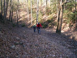 Two mountain bikers navigate a dirt trail through a wooded area, surrounded by trees and fallen leaves. The sunlight filters through the leaves, illuminating the trail ahead. Tanasi Trail System mountain bike trail.