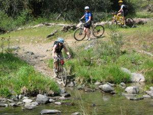 Three mountain bikers riding on a trail near a stream. One biker is navigating a rocky section while the others are in the background. The scene is surrounded by greenery and trees, indicating a natural outdoor setting. Henry W. Coe State Park mountain bike trail.