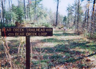 A wooden sign indicating directions for the Bear Creek Trailhead and Bear Creek Loop, surrounded by a grassy area and trees in a forest setting. Bear Creek mountain bike trail.