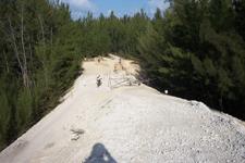 A dirt road surrounded by trees, with a sandy surface and gravel on the ground. In the distance, a few people can be seen engaging in outdoor activities. The sky is clear with some clouds. Oleta River State Park mountain bike trail.