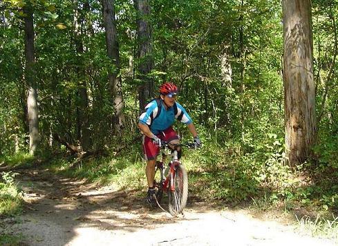 A cyclist wearing a blue and black jersey, red shorts, and a red helmet is riding a mountain bike on a dirt path through a lush green forest. Sunlight filters through the trees, creating a vibrant outdoor scene. Palos Forest Preserve mountain bike trail.