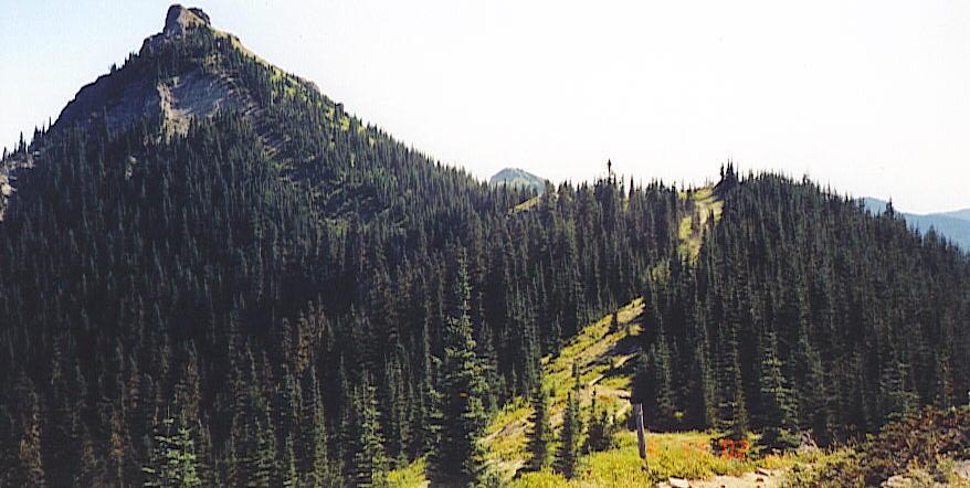 A scenic view of mountainous terrain featuring two prominent peaks surrounded by a dense forest of evergreen trees. The foreground shows a path winding through the greenery, leading towards the higher elevations of the mountains. The sky is bright, indicating a clear day. Juniper Ridge #261 mountain bike trail.