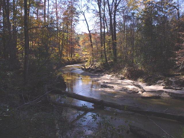 A serene forest scene featuring a calm creek winding through a landscape adorned with autumn foliage. Tall trees, partially bare, line the banks, reflecting the golden and orange hues of fall in the water's surface. A fallen log crosses the creek, adding to the peaceful, natural atmosphere. Clear Springs Rec. Area mountain bike trail.