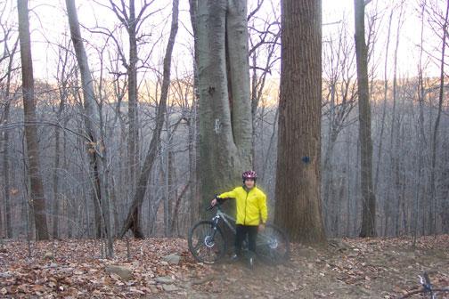 A person wearing a bright yellow jacket and a helmet stands beside a mountain bike in a wooded area. The background features bare trees and a view of a forested landscape during sunset, with fallen leaves covering the ground. Graham Hills mountain bike trail.