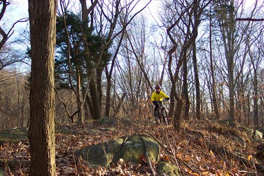 A person wearing a yellow jacket rides a mountain bike through a wooded area with bare trees and rocky terrain. The ground is covered in brown leaves, and the scene is illuminated by natural light, suggesting a cool, outdoor setting. Graham Hills mountain bike trail.
